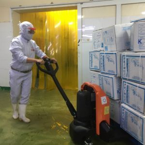 xe nâng tay điện
